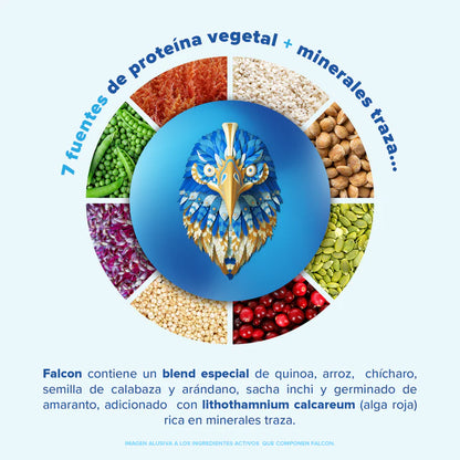 Birdman Falcon Protein 1.8 kg-Chocolate